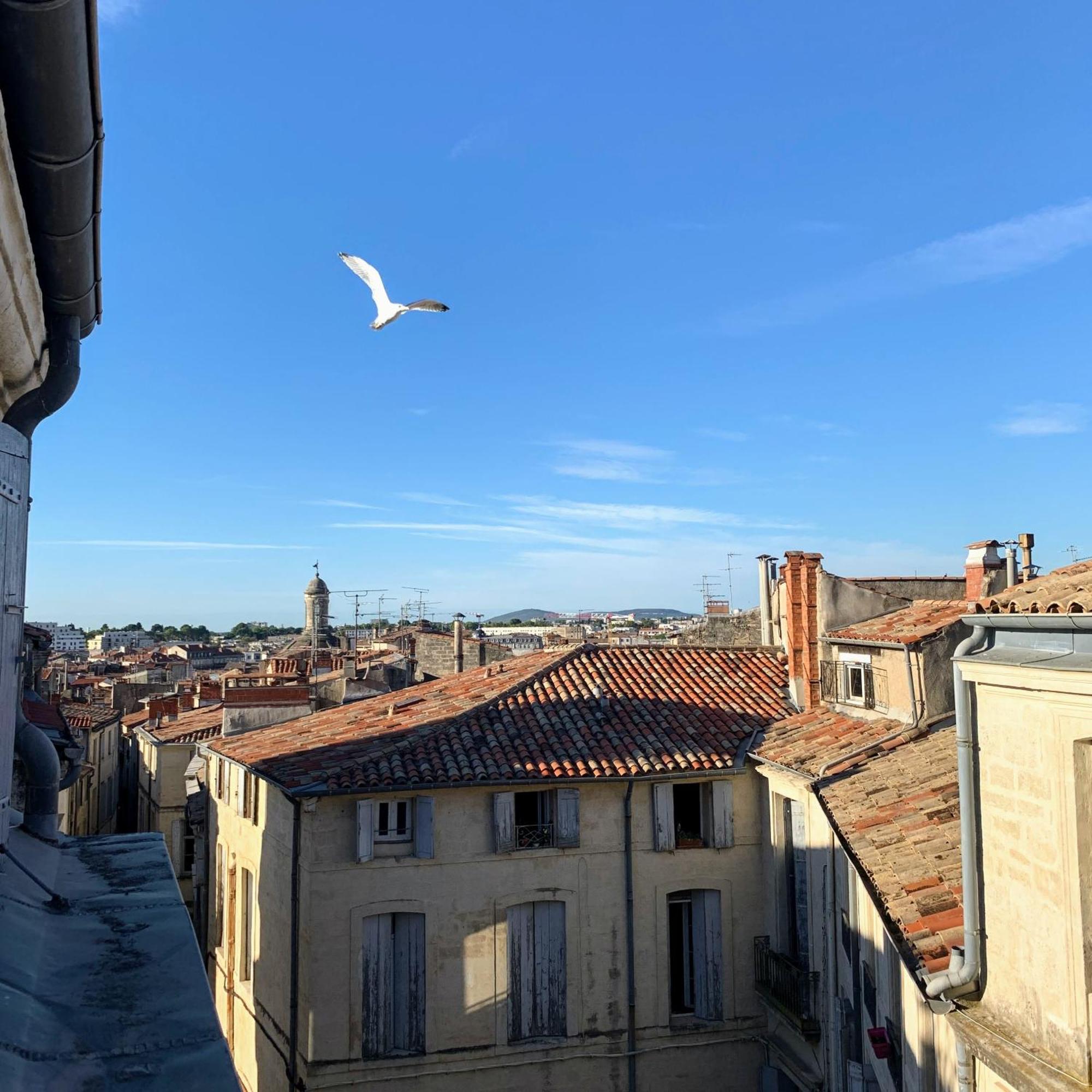Home Chic Home - Les Toits De L'Argenterie 蒙彼利埃 外观 照片